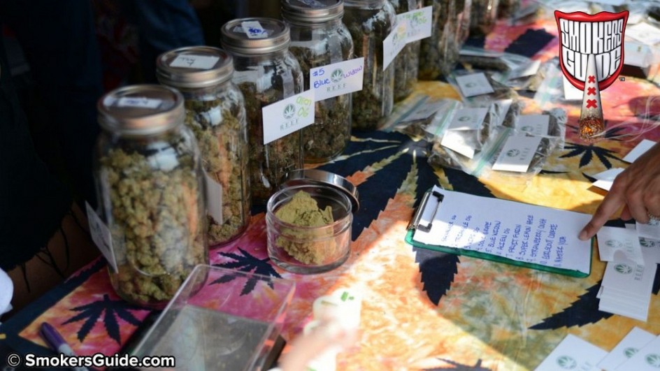 SG Michigan Medical Cannabis Cup