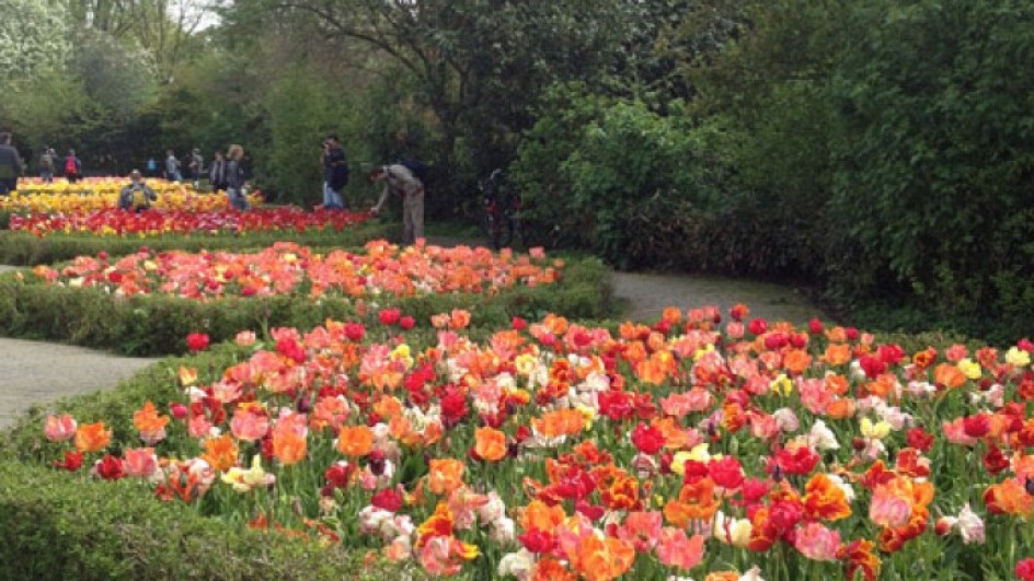 GLG 05 HR Vondelpark Stock