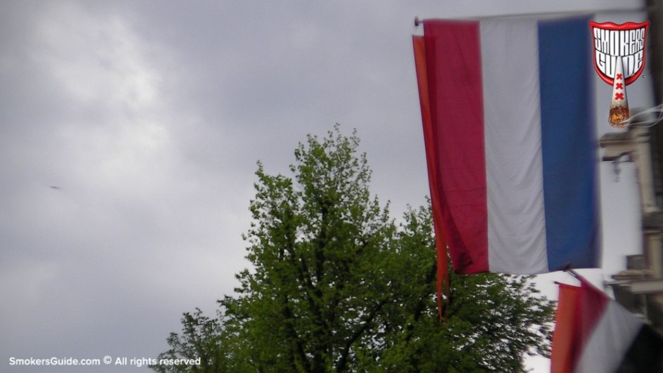 SG Kingsday Kashmir Set 1 (18)