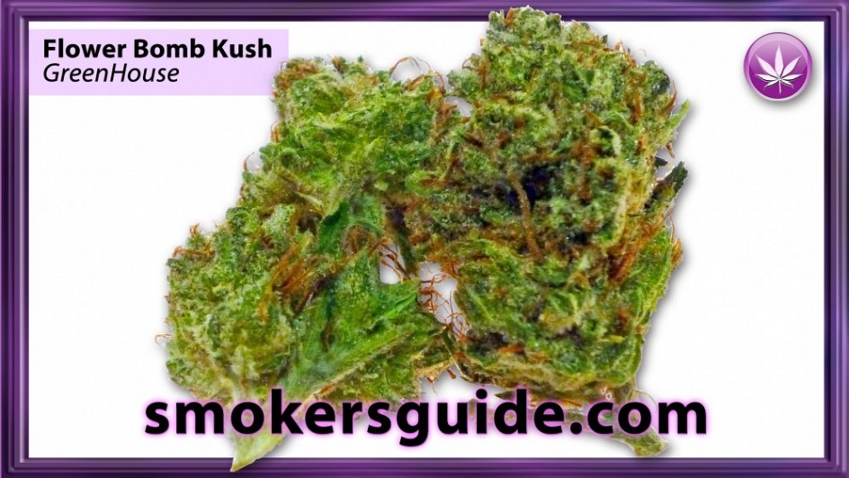 SG Flower Bomb Kush-GreenHouse-M