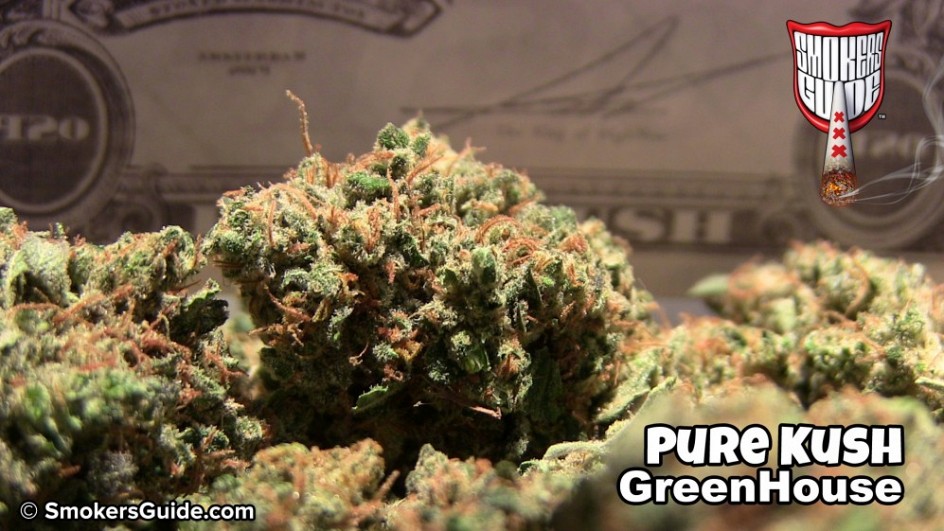 SG Green House Coffeeshop Cannab