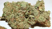 Blueberry Haze