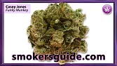 Casey Jones