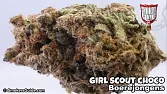 Girl Scout Choco