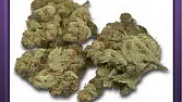 AK-47