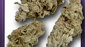 AK47
