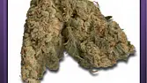 AK47 (2)
