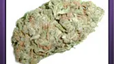 Citral