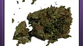Desert Weed