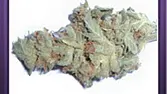 Kush