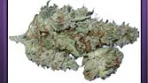 Double Bubblegum
