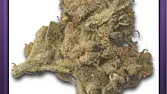 Jack Herer (3)