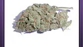 Jack Herer (2)