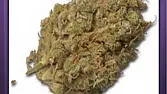 Juicy Fruit