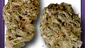 Kali Mist