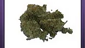 Northern Lights