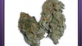 Silver Haze