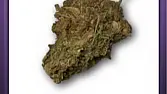Thai