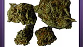 White Widow