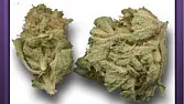 WW-Afghan