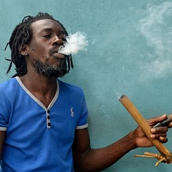 jamaica-marijuana-laws-800x452[1