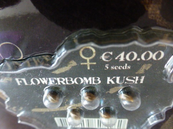 strainhunters flowerbomb