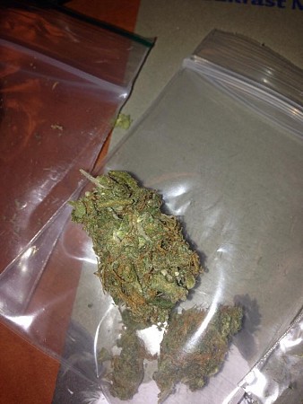 Jack Herer