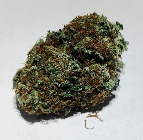 Congolese-Nug-shot 1