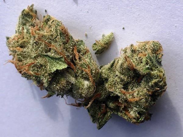 Super-Strawberry-Silver-Haze-Rev