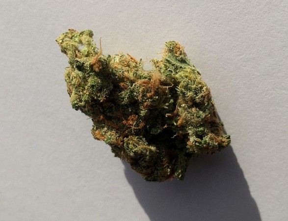 Super-Strawberry-Silver-Haze-Rev