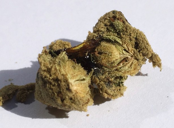 Moonrocks-Review-Coffeeshop-Rusl