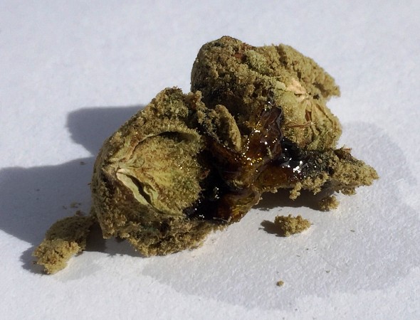 Moonrocks-Review-Coffeeshop-Rusl