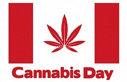 6th Annual Cannabis Day Peterborough 2015