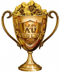 XO Gold Cup 2015